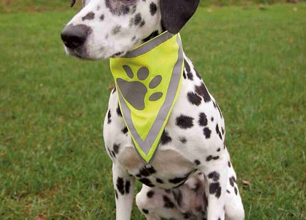 Trixie Sicherheits-Halstuch mit Reflektor für erhöhte Sichtbarkeit