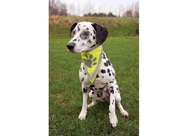 Trixie Sicherheits-Halstuch mit Reflektor für erhöhte Sichtbarkeit