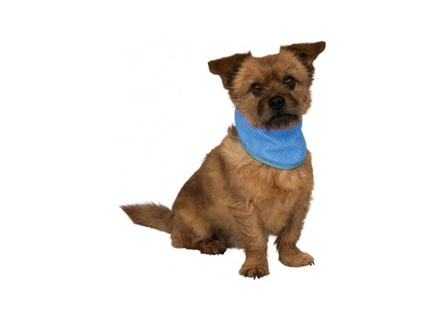 Trixie Kühlbandana PVA - Effektive Kühlung für Haustiere im Sommer