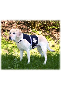 Sicherheitsweste für Hunde in Schwarz, mit USB-Ladefunktion, Grösse S