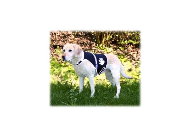 Sicherheitsweste für Hunde in Schwarz, mit USB-Ladefunktion, Grösse S