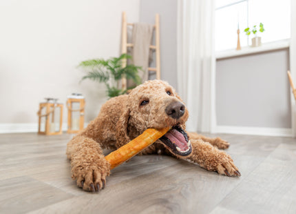 Trixie Denta Fun Roll Kollagen Huhn 165g - Leckeres Hundesnack mit Kollagen und Hühnchengeschmack für die Zahnpflege