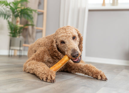 Trixie Denta Fun Roll Kollagen Huhn 165g - Leckeres Hundesnack mit Kollagen und Hühnchengeschmack für die Zahnpflege
