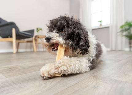 Trixie Kaukäse 12 Stück à 95 g 13.5 cm