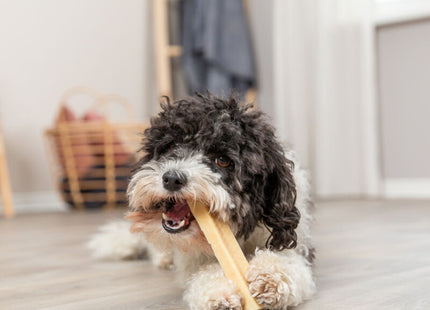 Trixie Kaukäse 12 Stück à 95 g 13.5 cm