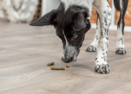 Trixie Vegan Sticks mit Obst und Gemüse, 100 g - Leckere vegane Snacks für Hunde