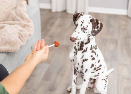 Trixie PREMIO Lolly - Hundesnack mit Kabeljau, 60 Stück