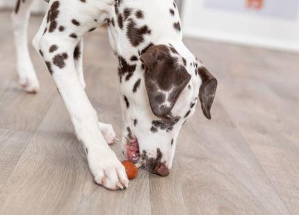 Trixie PREMIO Lolly - Hundesnack mit Kabeljau, 60 Stück