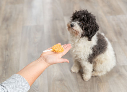 Trixie PREMIO Lolly - Hundesnack Huhn & Reis