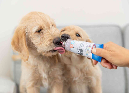 Trixie Junior Leberwurst - 12 Stück, Hundesnack