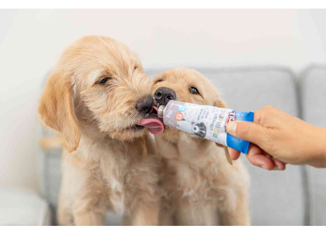 Trixie Junior Leberwurst - 12 Stück, Hundesnack