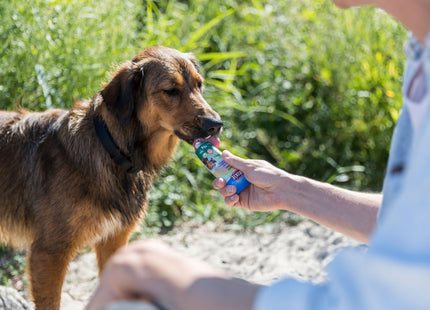Trixie Veggiecreme 12 Stk. à 75 g - Leckere vegetarische Snacks für Hunde