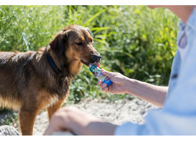 Trixie Veggiecreme 12 Stk. à 75 g - Leckere vegetarische Snacks für Hunde