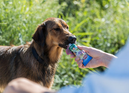 Trixie Veggiecreme 12 Stk. à 75 g - Leckere vegetarische Snacks für Hunde