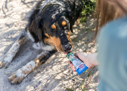 Trixie Leberwurst mit Hanf Hunde Leckerlis 12 Stück je 75 g