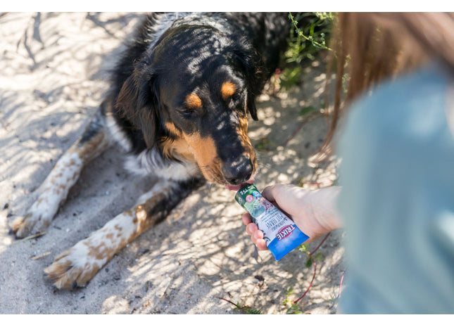 Trixie Leberwurst mit Hanf Hunde Leckerlis 12 Stück je 75 g