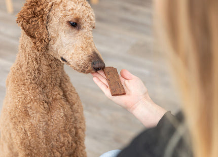 Trixie PREMIO Filets Lamm 80g - hochwertiges Hundefutter für anspruchsvolle Vierbeiner