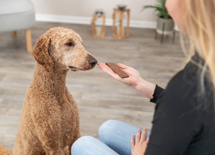 Trixie PREMIO Filets Lamm 80g - hochwertiges Hundefutter für anspruchsvolle Vierbeiner