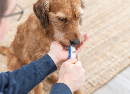 Trixie Creamy Snack mit Huhn 5x14 g - Leckere Belohnung für Katzen mit hochwertigen Zutaten
