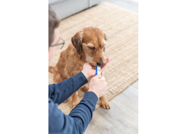 Trixie Creamy Snack mit Thunfisch 5x14 g - Leckere Belohnung für Katzen mit hochwertigen Zutaten