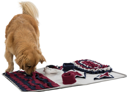 Trixie Dog Activity Strategie-Spiel Schnüffelteppich - Interaktives Hundespielzeug für mentale Stimulation und Spass