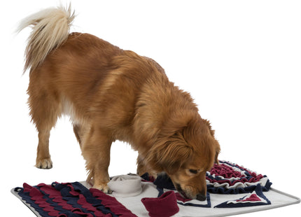 Trixie Dog Activity Strategie-Spiel Schnüffelteppich - Interaktives Hundespielzeug für mentale Stimulation und Spass