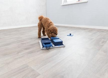 Trixie Dog Activity Poker Box - Hundespielzeug 31x10x31cm