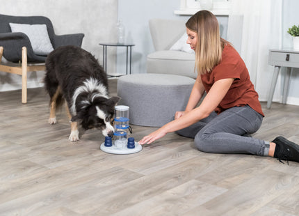 Trixie Dog Activity Gambling Tower – Hundespielzeug, Kunststoff