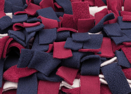 Trixie Activity Schnüffelteppich - Interaktiver Spielteppich für Hunde zur Förderung der Nasenarbeit und geistigen Beschäftigung