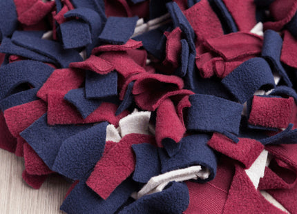 Trixie Activity Schnüffelteppich - Interaktiver Spielteppich für Hunde zur Förderung der Nasenarbeit und geistigen Beschäftigung