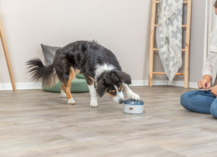 Trixie Dog Activity Buzzer aus Kunststoff