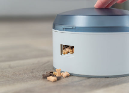 Trixie Dog Activity Buzzer aus Kunststoff