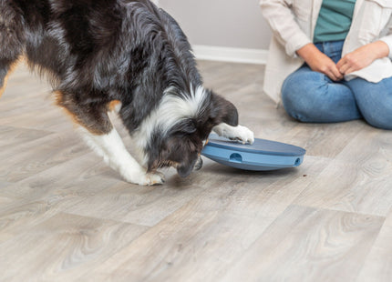 Trixie Dog Activity Rocking Maze aus Kunststoff mit einem Durchmesser von 28 cm