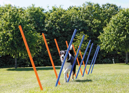 Trixie Agility-Parcours mit 12 Stangen für Hundetraining