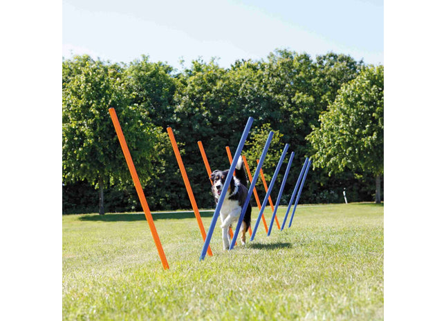 Trixie Agility-Parcours mit 12 Stangen für Hundetraining