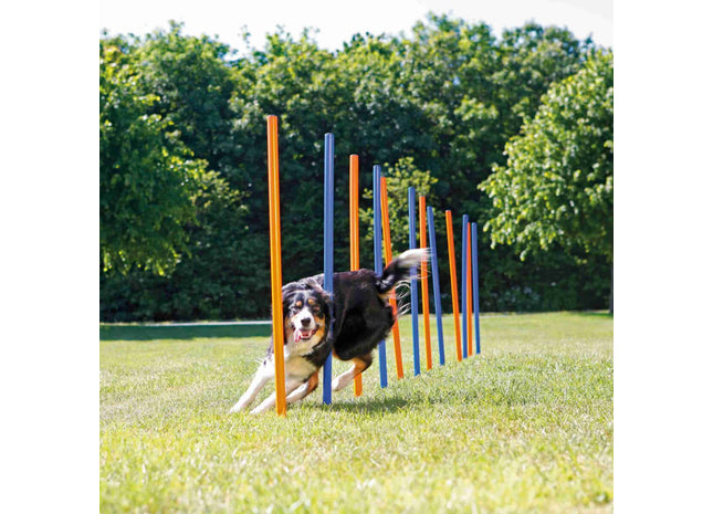 Trixie Agility-Parcours mit 12 Stangen für Hundetraining