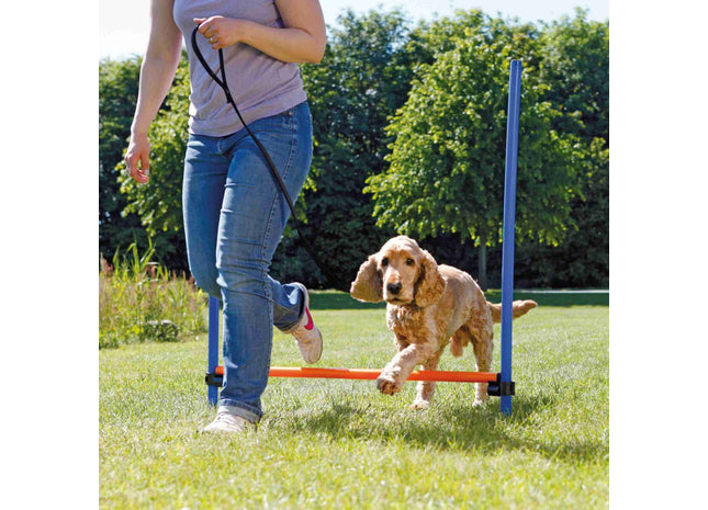 Trixie Agility Hürde für Hundetraining