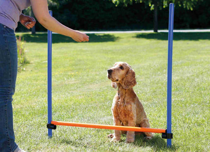 Trixie Agility Hürde für Hundetraining