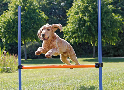 Trixie Agility Hürde für Hundetraining