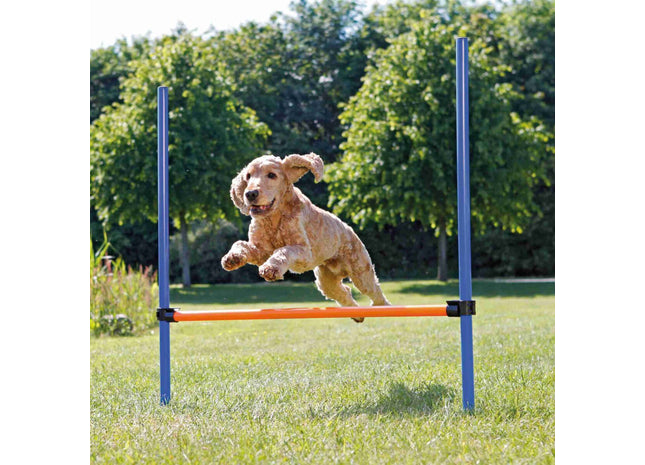 Trixie Agility Hürde für Hundetraining