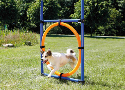 Trixie Agility Ring mit einem Durchmesser von 65 cm