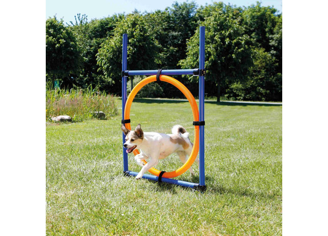 Trixie Agility Ring mit einem Durchmesser von 65 cm