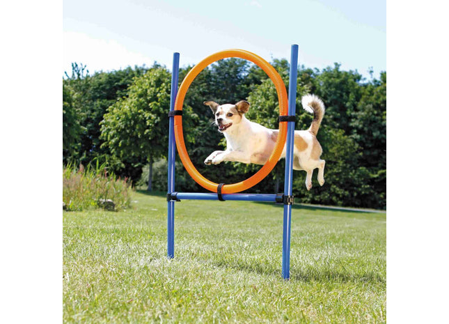 Trixie Agility Ring mit einem Durchmesser von 65 cm