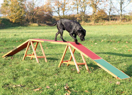 Trixie Dog Activity Agility Steg - Trainingsgerät für Hunde, um Agilität und Geschicklichkeit zu fördern