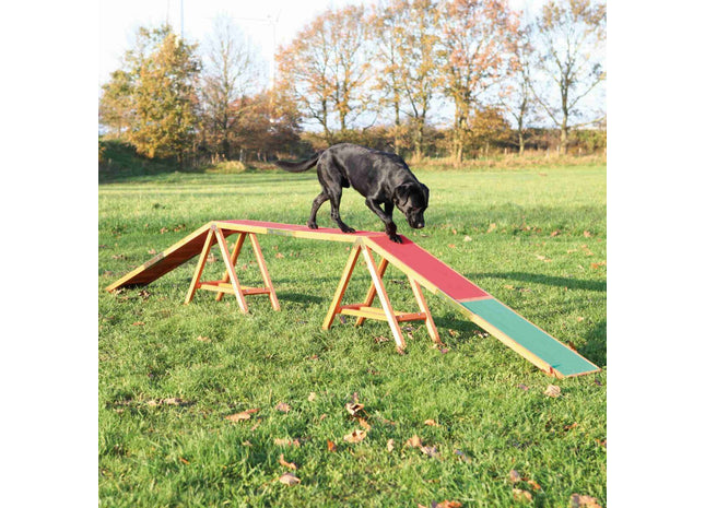 Trixie Dog Activity Agility Steg - Trainingsgerät für Hunde, um Agilität und Geschicklichkeit zu fördern