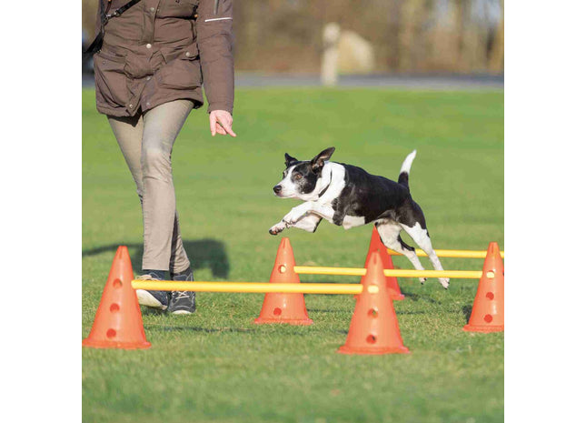 Trainingsspass für Hunde: Gelb-oranges Hindernis-Set von Trixie Dog Activity