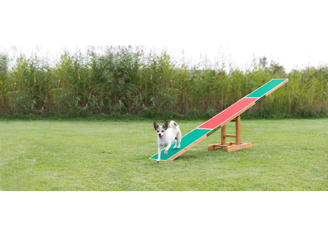 Trixie Agility Wippe für Hunde Training und Spass