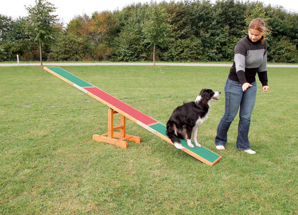 Trixie Agility Wippe für Hunde Training und Spass