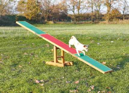 Trixie Agility Wippe für Hunde Training und Spass