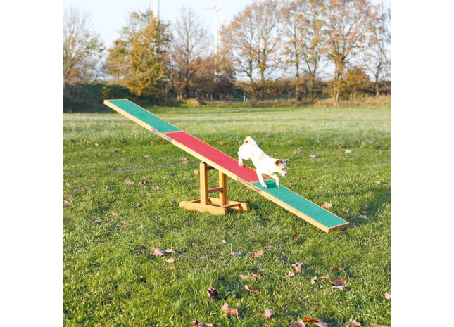 Trixie Agility Wippe für Hunde Training und Spass